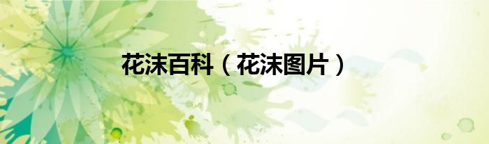 花沫百科（花沫圖片）