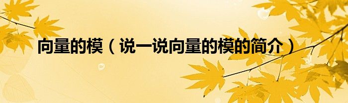 向量的模（說一說向量的模的簡(jiǎn)介）