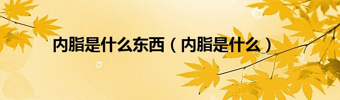內(nèi)脂是什么東西（內(nèi)脂是什么）