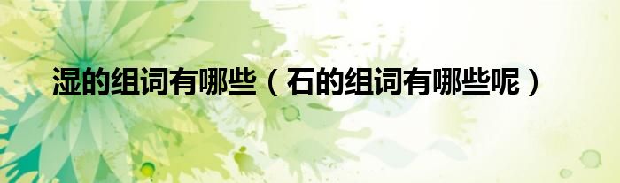 濕的組詞有哪些（石的組詞有哪些呢）
