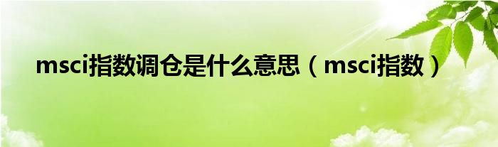 msci指數(shù)調(diào)倉是什么意思（msci指數(shù)）