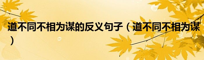 道不同不相為謀的反義句子（道不同不相為謀）