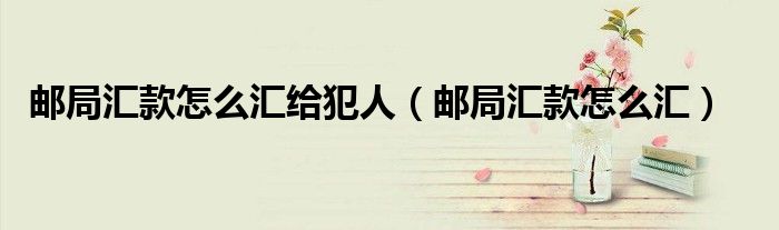 郵局匯款怎么匯給犯人（郵局匯款怎么匯）