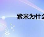 紫米為什么是粗糧（什么是粗糧）