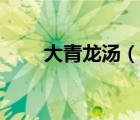 大青龍湯（說(shuō)一說(shuō)大青龍湯的簡(jiǎn)介）