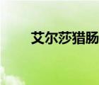艾爾莎獵腸者圖片（艾爾莎獵腸者）