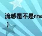 流感是不是rna病毒（流感病毒是RNA病毒嗎）