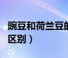 豌豆和荷蘭豆的區(qū)別豌豆莢（豌豆和荷蘭豆的區(qū)別）