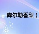 庫爾勒香梨（說一說庫爾勒香梨的簡介）