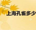 上海孔雀多少錢一只（孔雀多少錢一只）