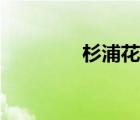 杉浦花音播放（杉浦花音）