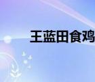 王藍田食雞子翻譯（王藍田食雞子）