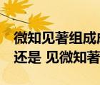 微知見著組成成語（成語究竟應(yīng)是 知微見著 還是 見微知著）