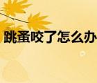 跳蚤咬了怎么辦快速消除（跳蚤咬了怎么辦）