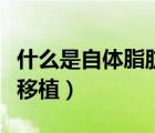 什么是自體脂肪移植安全嗎（什么是自體脂肪移植）