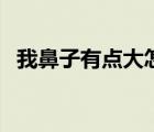 我鼻子有點大怎么辦（鼻子有點大怎么辦）