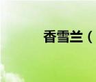 香雪蘭（說一說香雪蘭的簡介）