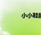 小小鞋服靠譜嗎（小小鞋服）
