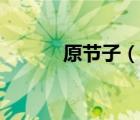原節(jié)子（說一說原節(jié)子的簡介）