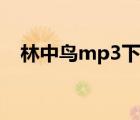 林中鳥(niǎo)mp3下載微盤(pán)（林中鳥(niǎo)mp3下載）