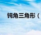 鈍角三角形（說一說鈍角三角形的簡介）