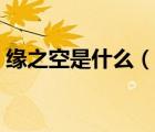 緣之空是什么（說一說緣之空是什么的簡介）
