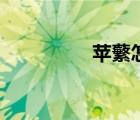 蘋(píng)蘩怎么讀（蘋(píng)怎么讀）