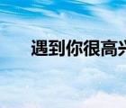 遇到你很高興百度云（遇到你很高興）