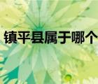 鎮(zhèn)平縣屬于哪個(gè)地級(jí)市（鎮(zhèn)平縣屬于什么市）