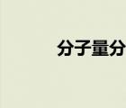 分子量分布系數(shù)（分子量分布）