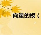 向量的模（說一說向量的模的簡介）