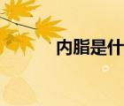 內(nèi)脂是什么東西（內(nèi)脂是什么）