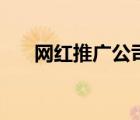 網(wǎng)紅推廣公司哪個(gè)好（網(wǎng)紅推廣公司）