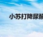小蘇打降尿酸?（小蘇打降尿酸作用大）