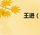 王進(jìn)（說一說王進(jìn)的簡介）