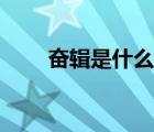 奮輯是什么意思（粉籍是什么意思）