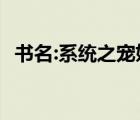 書(shū)名:系統(tǒng)之寵妃[寵文]（系統(tǒng)之寵冠后宮）