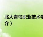 北大青鳥(niǎo)職業(yè)技術(shù)學(xué)院（說(shuō)一說(shuō)北大青鳥(niǎo)職業(yè)技術(shù)學(xué)院的簡(jiǎn)介）