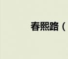 春熙路（說(shuō)一說(shuō)春熙路的簡(jiǎn)介）