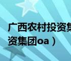 廣西農(nóng)村投資集團有限公司招聘（廣西農(nóng)村投資集團oa）