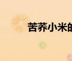 苦蕎小米的營(yíng)養(yǎng)價(jià)值（苦蕎小米）