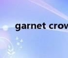 garnet crow 演唱會(huì)（garnet crow）