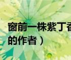 窗前一株紫丁香的作者是誰（窗前一株紫丁香的作者）