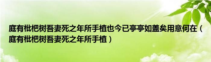 庭有枇杷樹吾妻死之年所手植也今已亭亭如蓋矣用意何在（庭有枇杷樹吾妻死之年所手植）