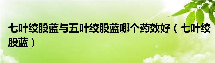 七葉絞股藍(lán)與五葉絞股藍(lán)哪個(gè)藥效好（七葉絞股藍(lán)）