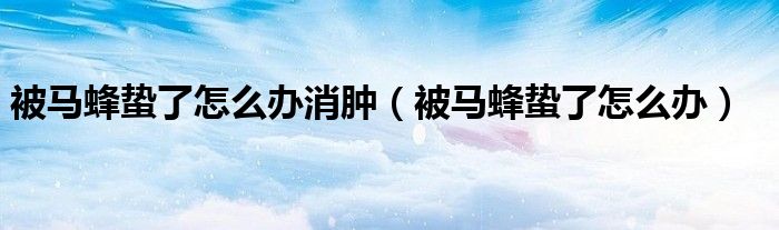 被馬蜂蟄了怎么辦消腫（被馬蜂蟄了怎么辦）