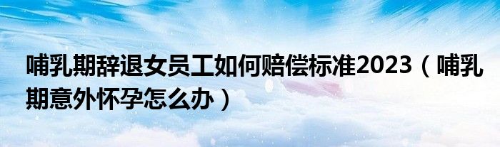 哺乳期辭退女員工如何賠償標(biāo)準(zhǔn)2023（哺乳期意外懷孕怎么辦）
