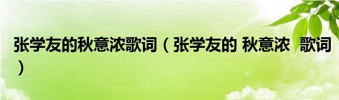 張學(xué)友的秋意濃歌詞（張學(xué)友的 秋意濃  歌詞）