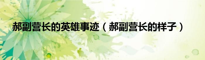 郝副營長的英雄事跡（郝副營長的樣子）