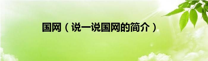 國(guó)網(wǎng)（說(shuō)一說(shuō)國(guó)網(wǎng)的簡(jiǎn)介）